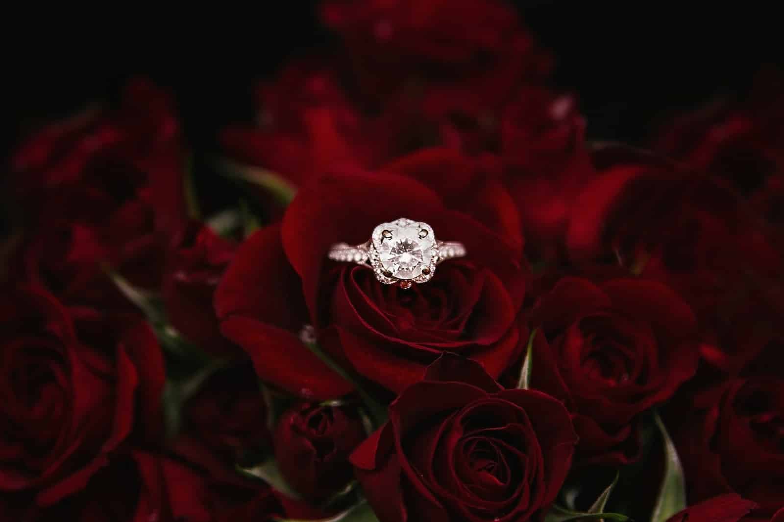 anillo de compromiso plateado y con diamantes sobre ramo de rosas rojas